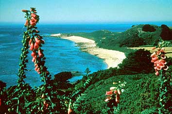Herm scenery